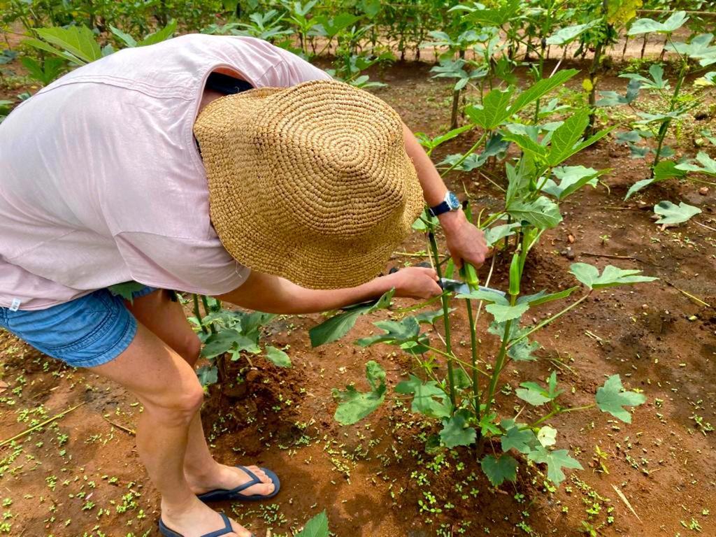 Moni Farm House Wilpattu Nochchiyagama Eksteriør billede