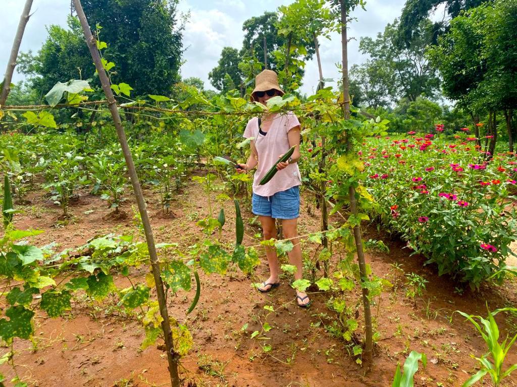 Moni Farm House Wilpattu Nochchiyagama Eksteriør billede