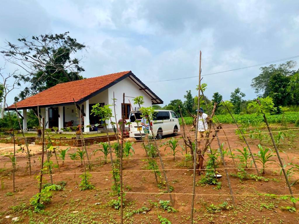 Moni Farm House Wilpattu Nochchiyagama Eksteriør billede