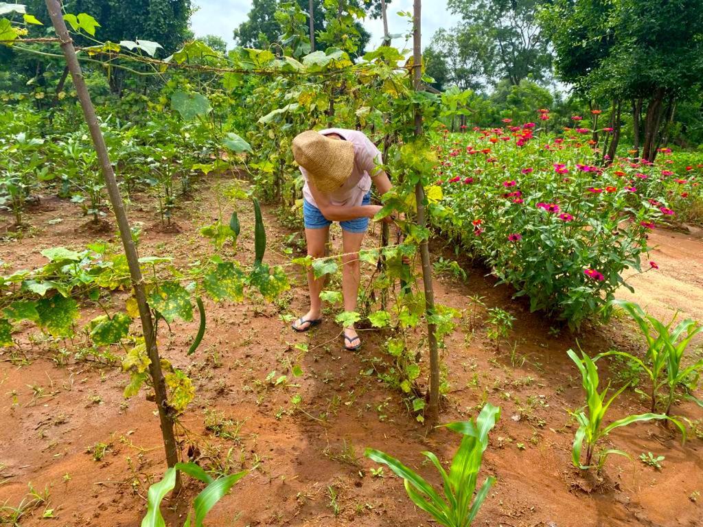 Moni Farm House Wilpattu Nochchiyagama Eksteriør billede