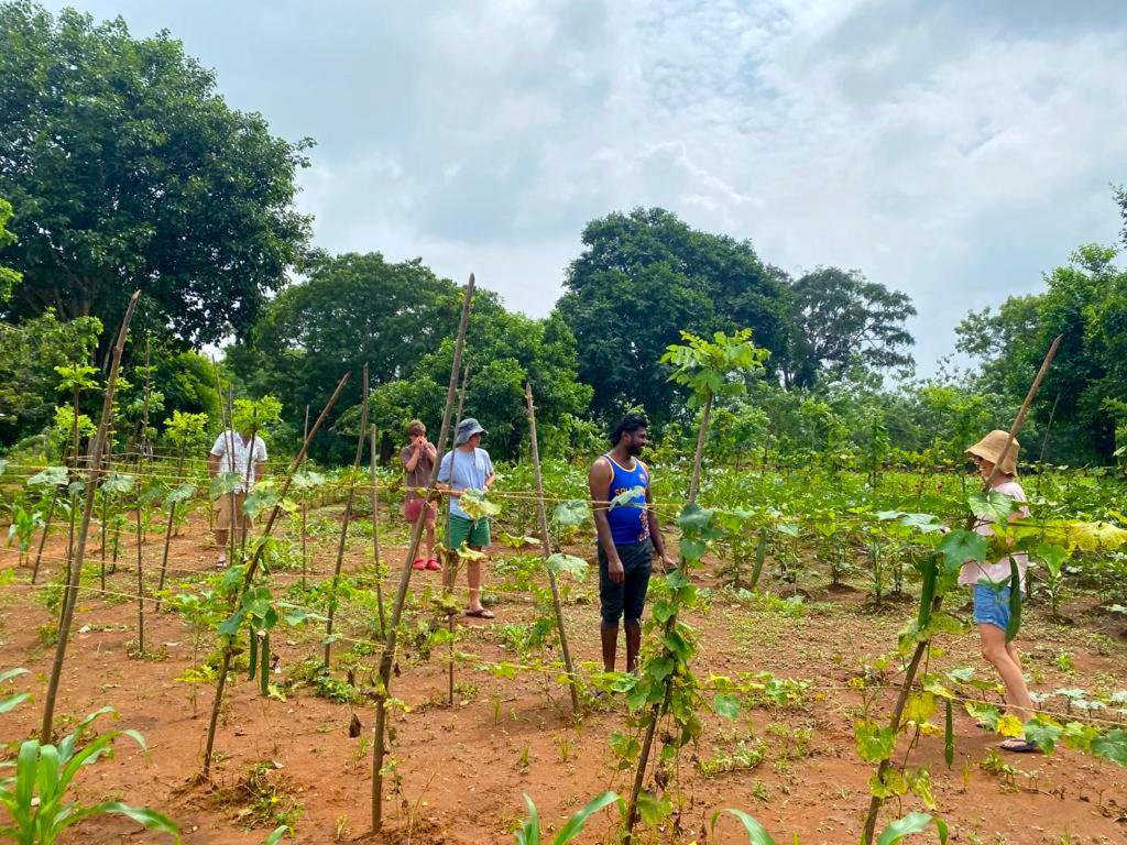 Moni Farm House Wilpattu Nochchiyagama Eksteriør billede