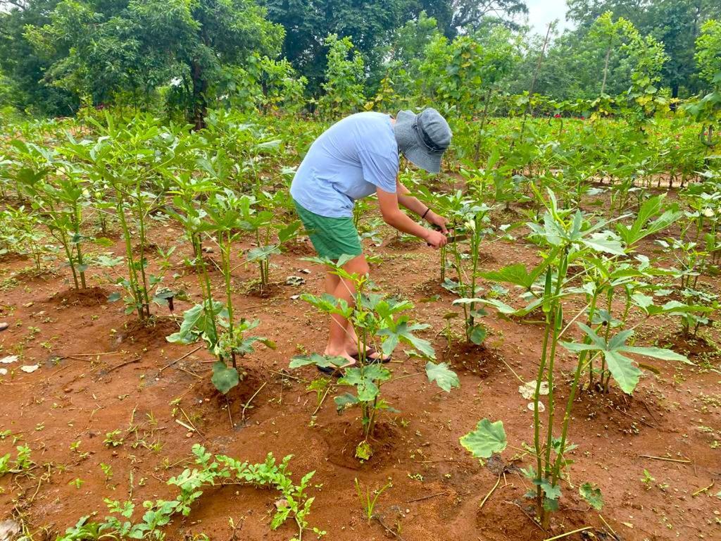 Moni Farm House Wilpattu Nochchiyagama Eksteriør billede