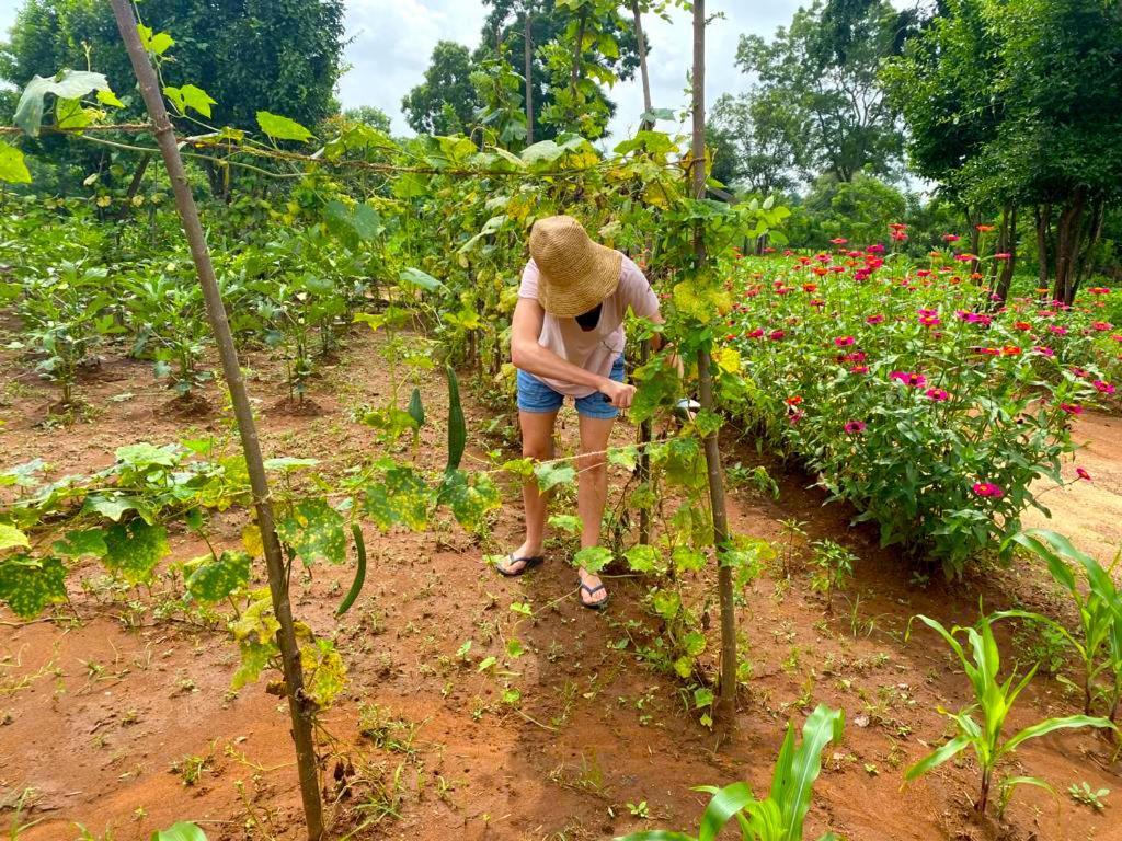 Moni Farm House Wilpattu Nochchiyagama Eksteriør billede
