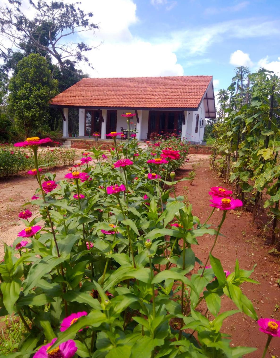 Moni Farm House Wilpattu Nochchiyagama Eksteriør billede