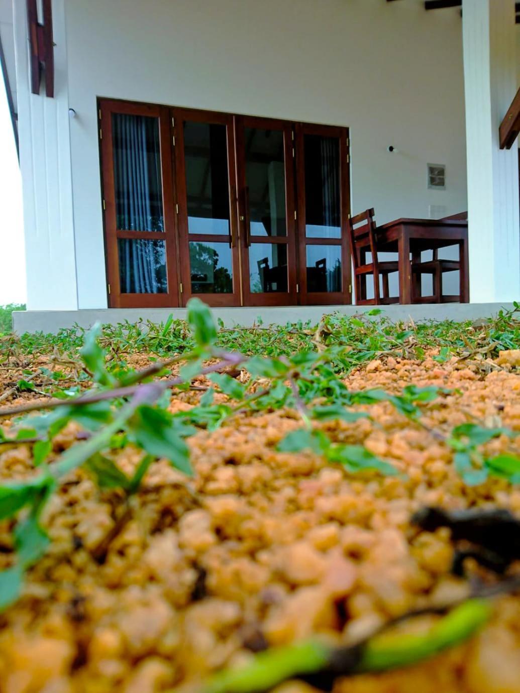 Moni Farm House Wilpattu Nochchiyagama Eksteriør billede